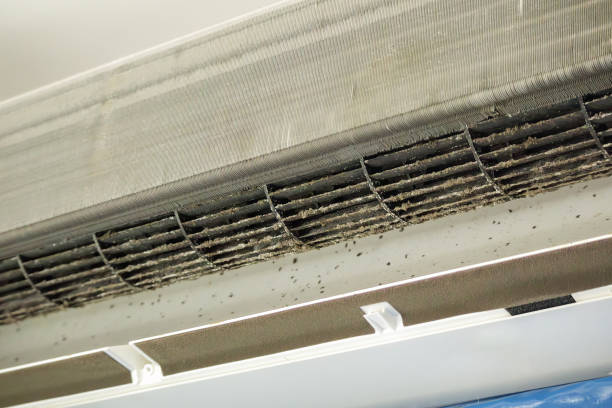 Best Commercial HVAC Duct Cleaning  in Council Bluffs, IA